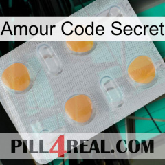 Love Secret Code 24